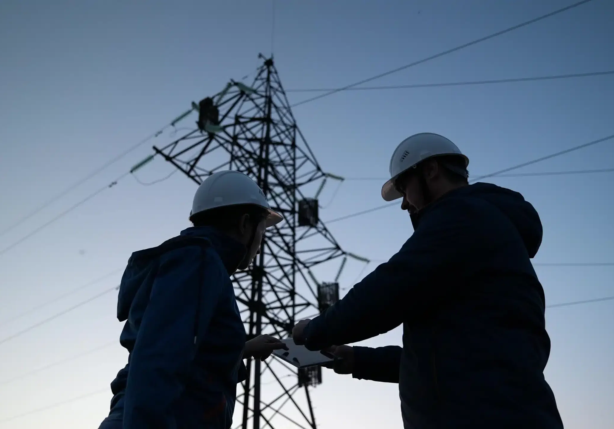 shutterstock_1962690196